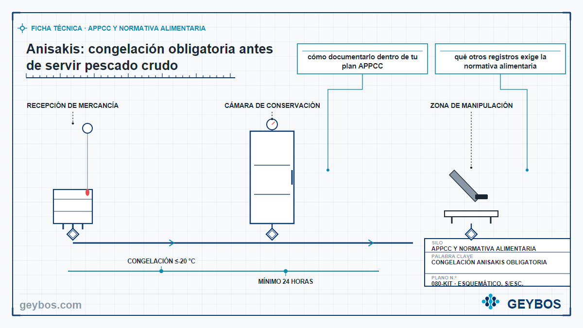 Ilustración: Anisakis: congelación obligatoria antes de servir pescado crudo