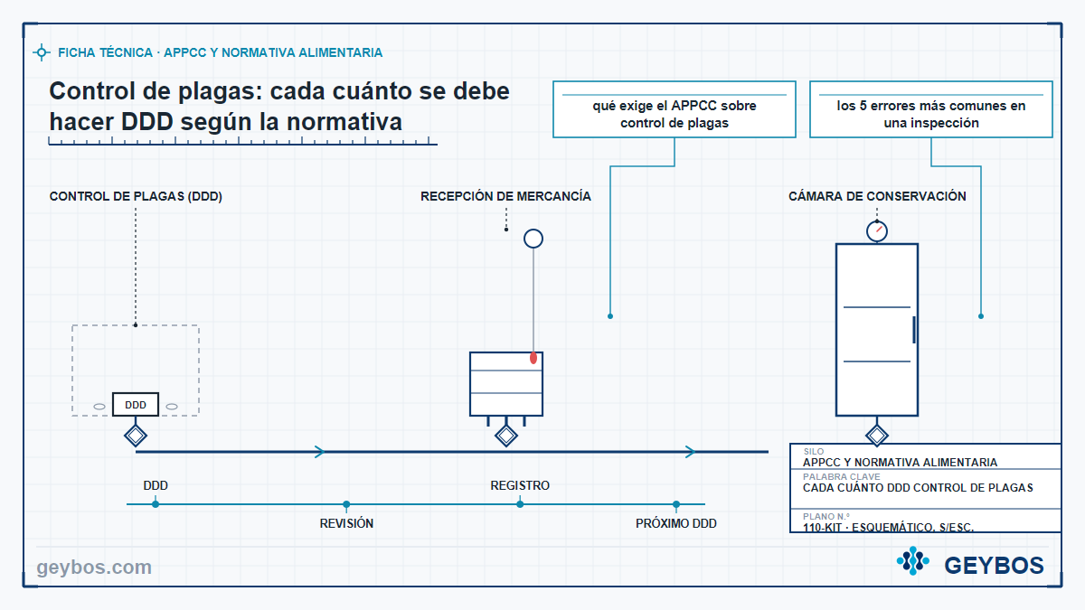 Ilustración: Control de plagas: cada cuánto se debe hacer DDD según la normativa
